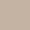 Ercie Collegiate Crew Neck - Beige - Image 4