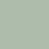 Karolina Retro Logo Hoodie - Green - Image 6