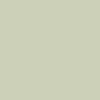 Taja Script Graphic T-Shirt - Green - Image 6